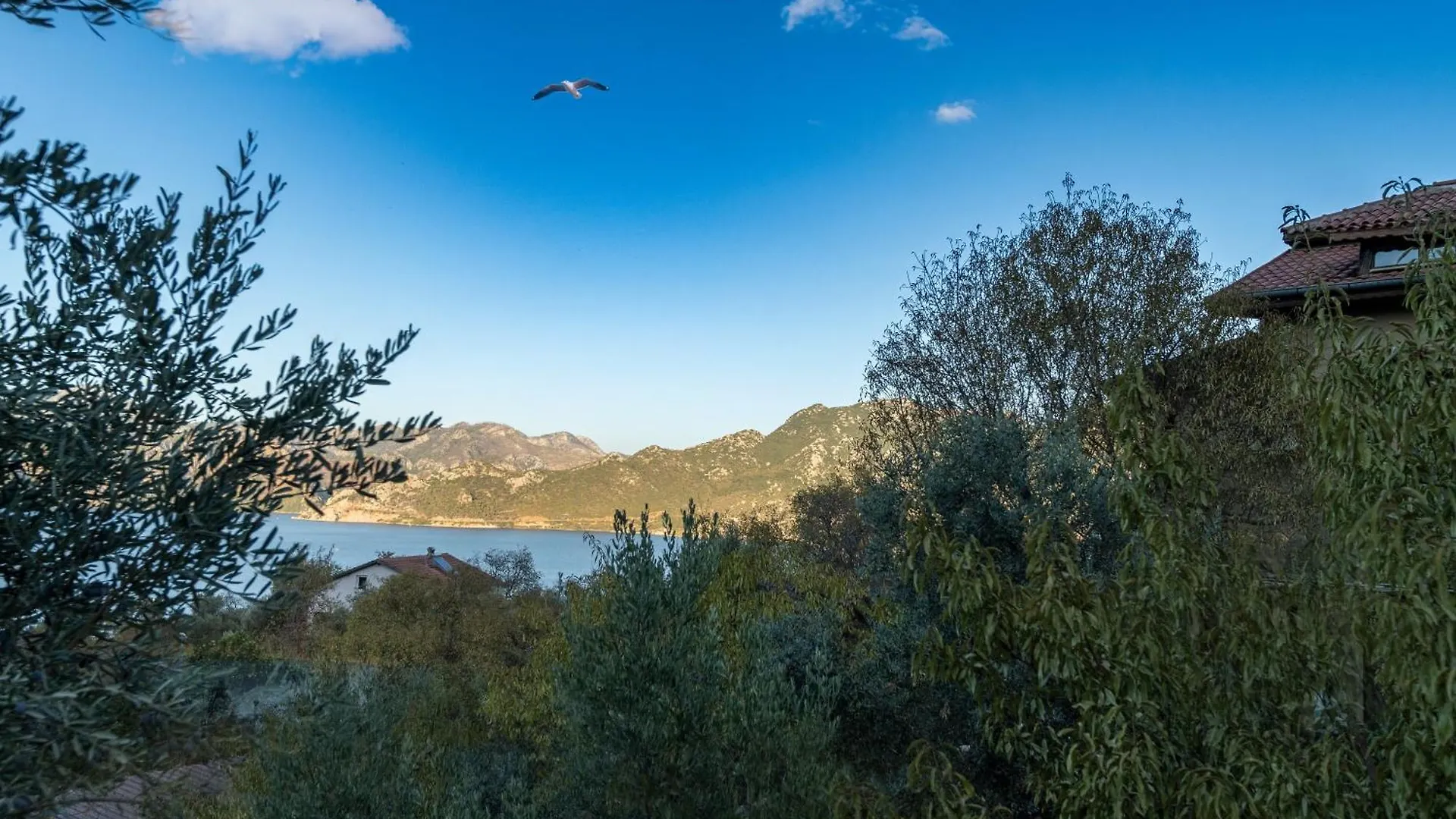 Almond Tatil Evi Μαρμαρίς Τουρκία